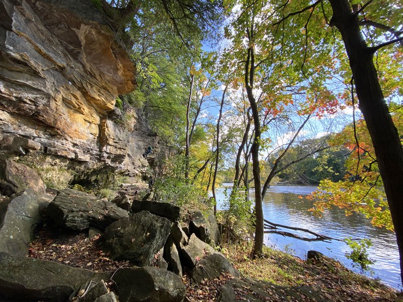 Rock, Wilderness, Vegetation, Grove.