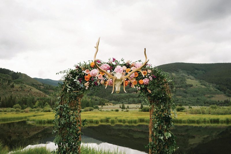 Vegetation, Pond, Grass, Wilderness.