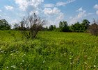 Field, Grassland, Meadow, Pasture.