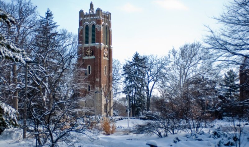 Bell Tower, Clock Tower, Tree, Vegetation.