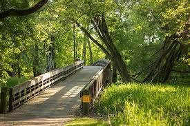 Park, Vegetation, Path, Woodland.