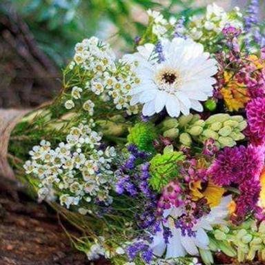 Flower, Flower Arrangement, Flower Bouquet, Anemone.