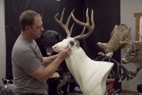 Antler, Deer, Man, Person.