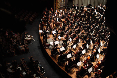 Indoors, Music, Musician, Performer.