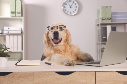 Laptop, Pc, Table, Desk. Text: 2 9 10 в 7 12 = 6 5 4 3