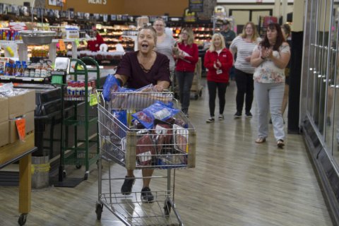 Adult, Female, Person, Woman.