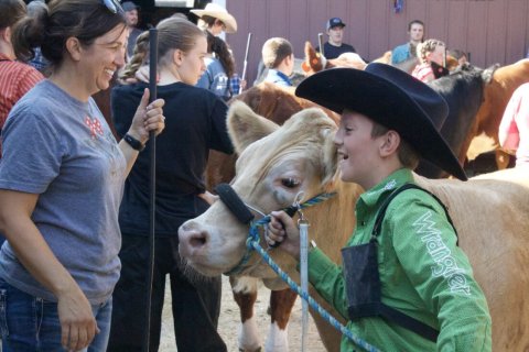 Hat, Adult, Person, Woman.