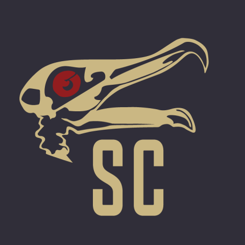 Seagull's Cycles logo