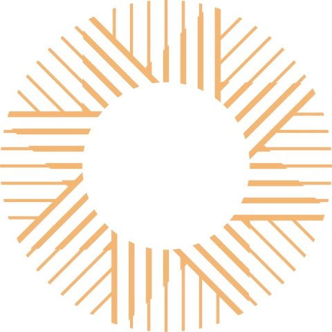 Capital Consulting & Asset Management logo