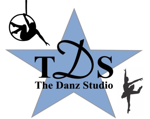 Star Symbol, Symbol, Person, Woman. Text: T S The Danz Studio