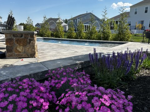 Path, Walkway, Flagstone, Slate.