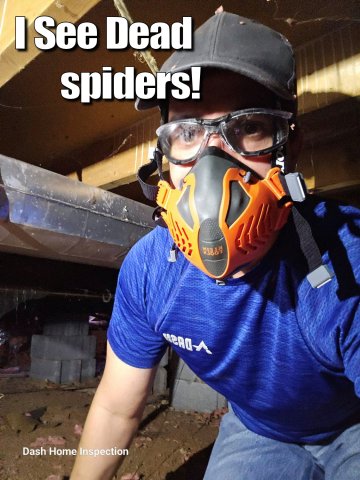 Helmet, Adult, Man, Person. Text: I See Dead spiders! Dash Home Inspection