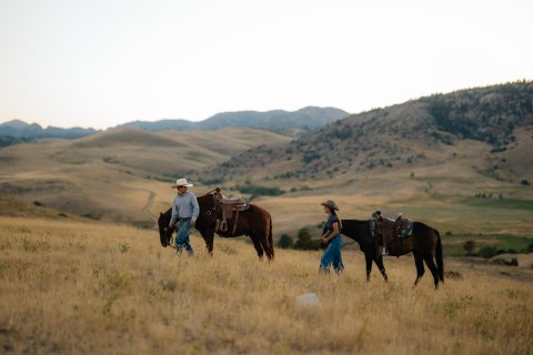 Ranch, Pasture, Grassland, Hat.