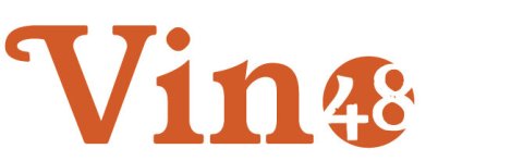 Vin 48 logo