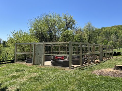 Backyard, Outdoors, Yard, Grass.
