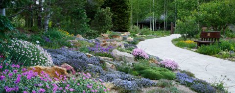Garden, Path, Walkway, Arbour.