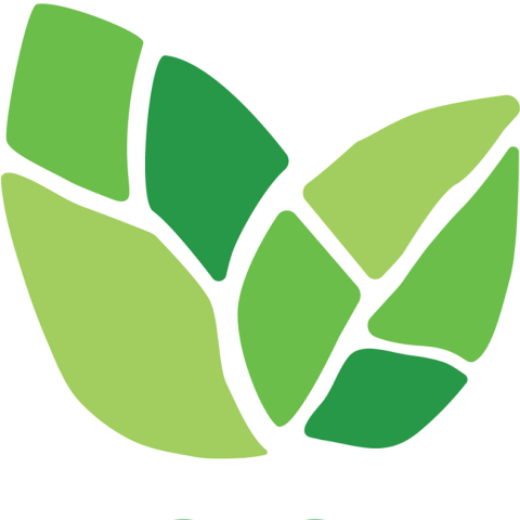 Eagle Valley Community Foundation logo