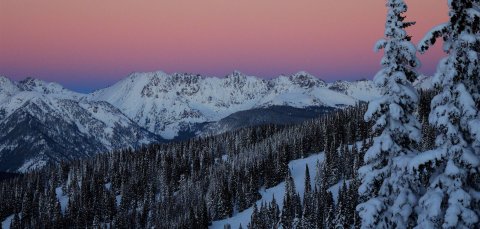 Tree, Scenery, Fir, Peak.