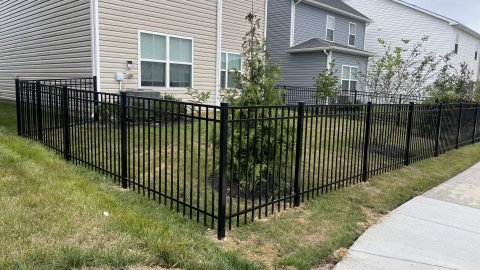 Nature, Outdoors, Yard, Backyard.