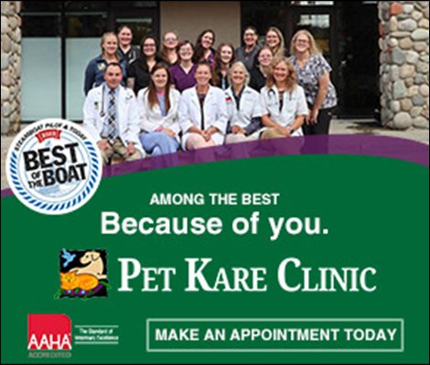 Pet Kare Clinic logo