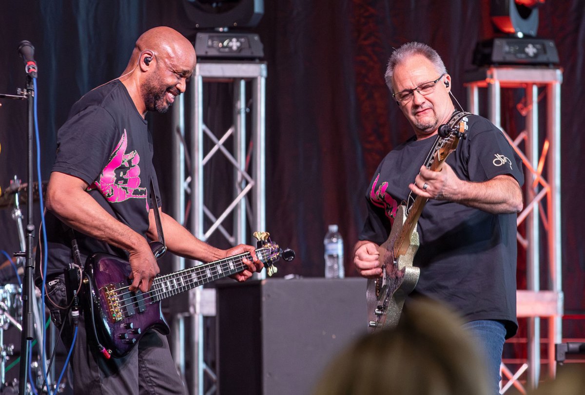 Concert, Person, Guitar, Man.