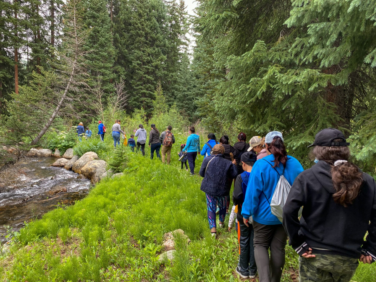 Hiking, Walking, Vegetation, Woodland.