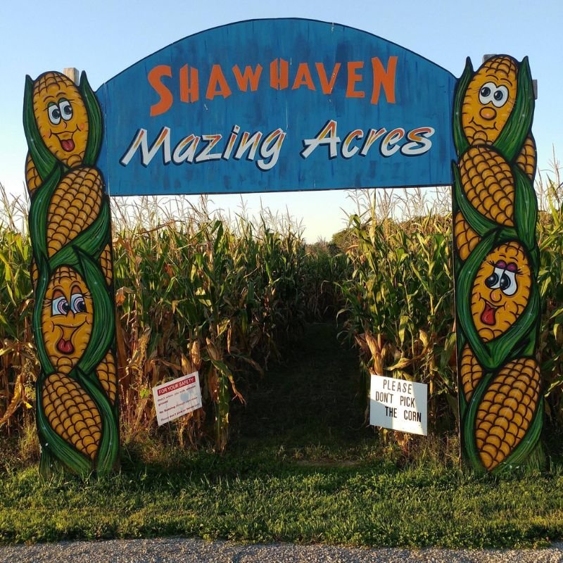 Corn, Adult, Person, Woman. Text: SHAWWAVEN Mazing Acres FOR YOUR SAFETY PLEASE DON&#039;T PICK THE CORN