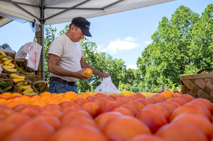 Market, Farmer&#039;s Market, Fruit, Cricket Ball.