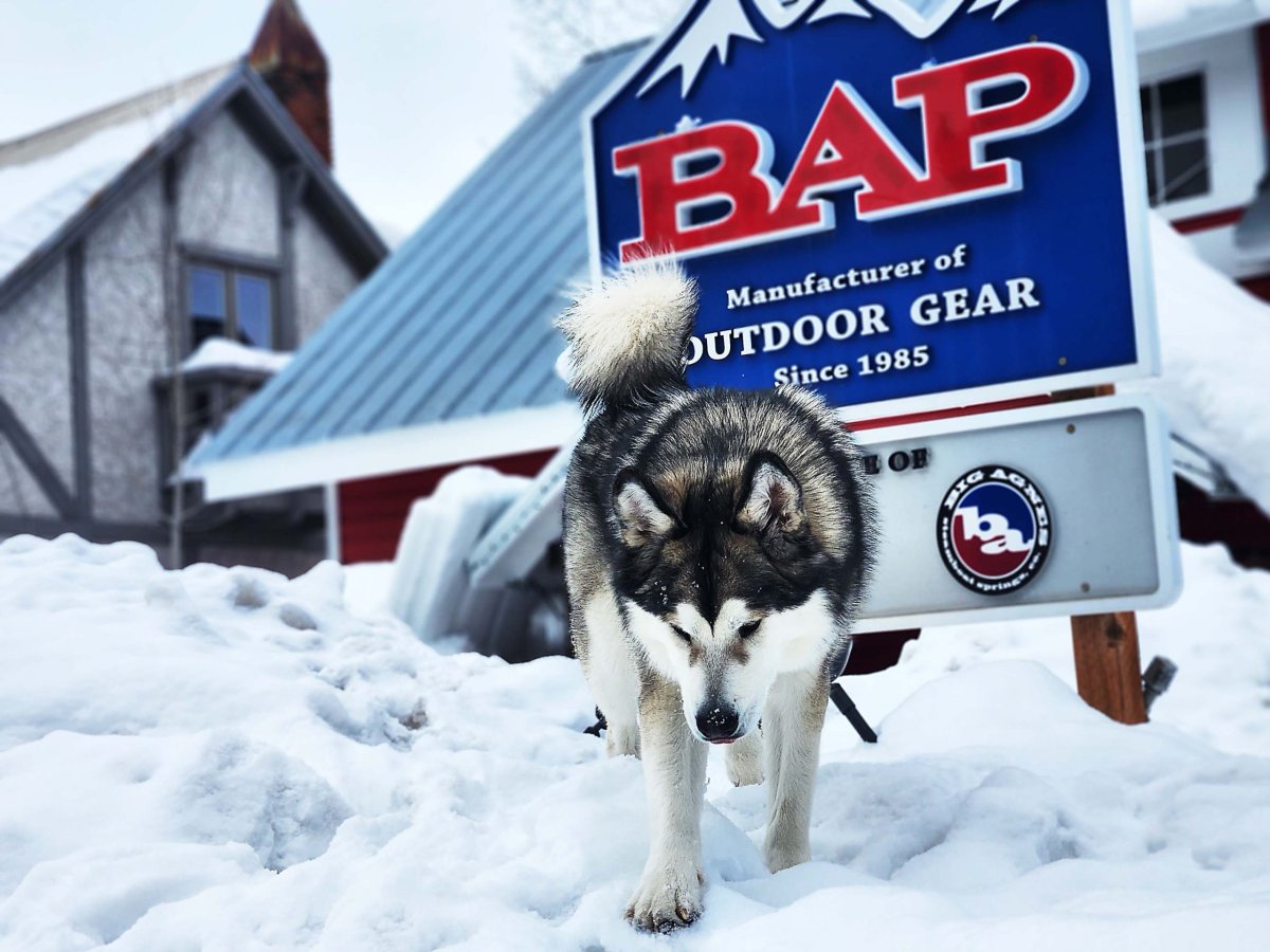 Dog, Husky, Outdoors, Shelter. Text: BAP Manufacturer of OUTDOOR GEAR Since 1985