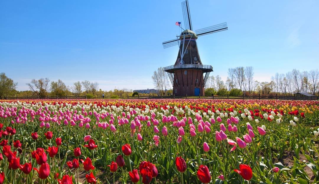 Outdoors, Windmill, Rose, Lighthouse.