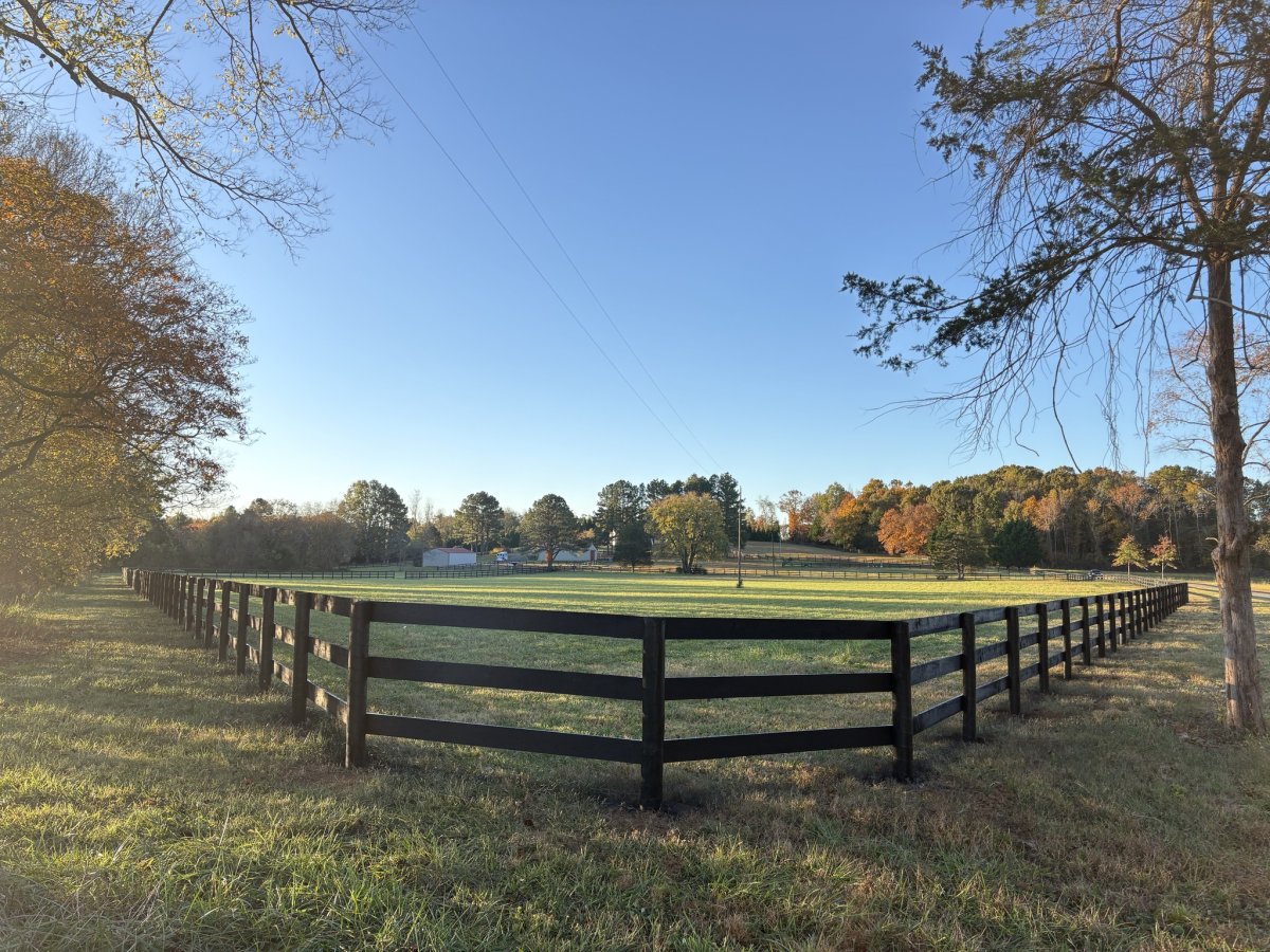 Field, Nature, Pasture, Grassland.