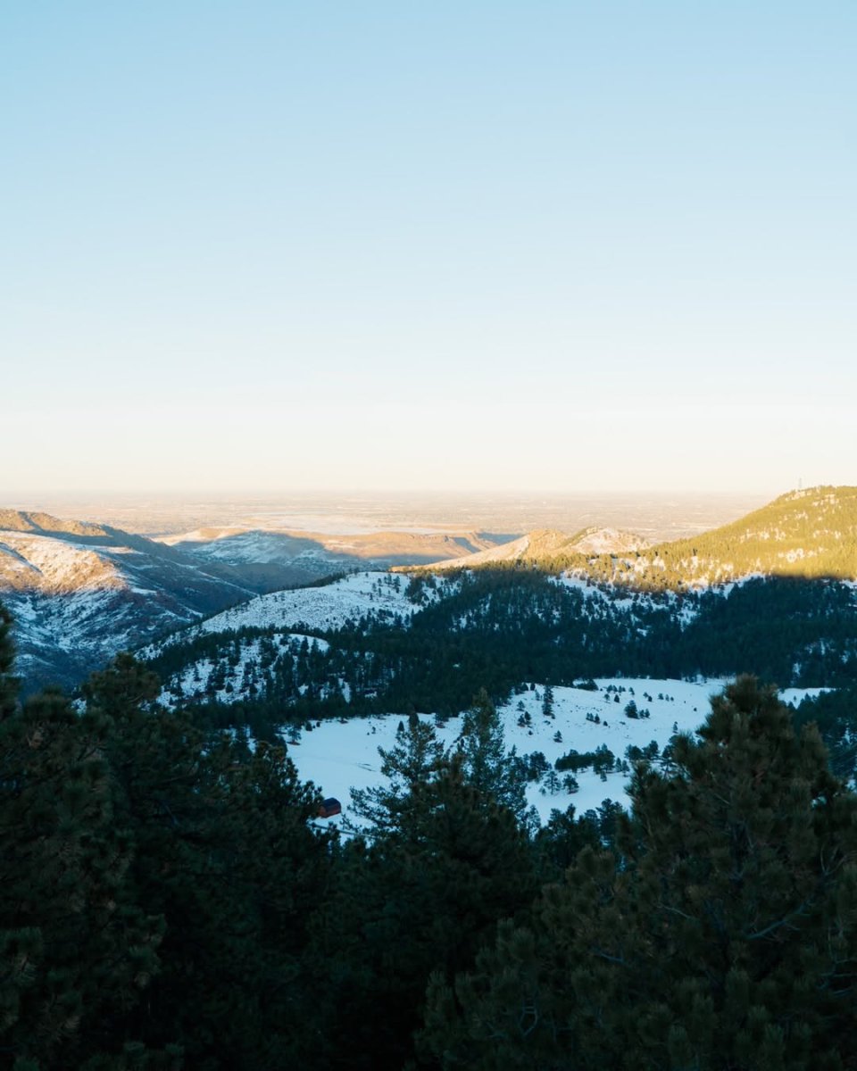 Tree, Wilderness, Vegetation, Landscape.