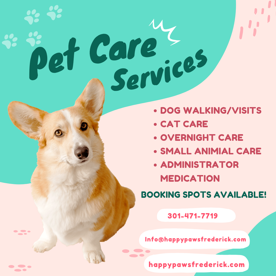 Advertisement, Poster, Dog, Text. Text: Pet Care Services DOG WALKING/VISITS CAT CARE OVERNIGHT CARE SMALL ANIMIAL CARE ADMINISTRATOR MEDICATION BOOKING SPOTS AVAILABLE! 301-471-7719 Info@happypawsfrederick.com happypawsfrederick.com
