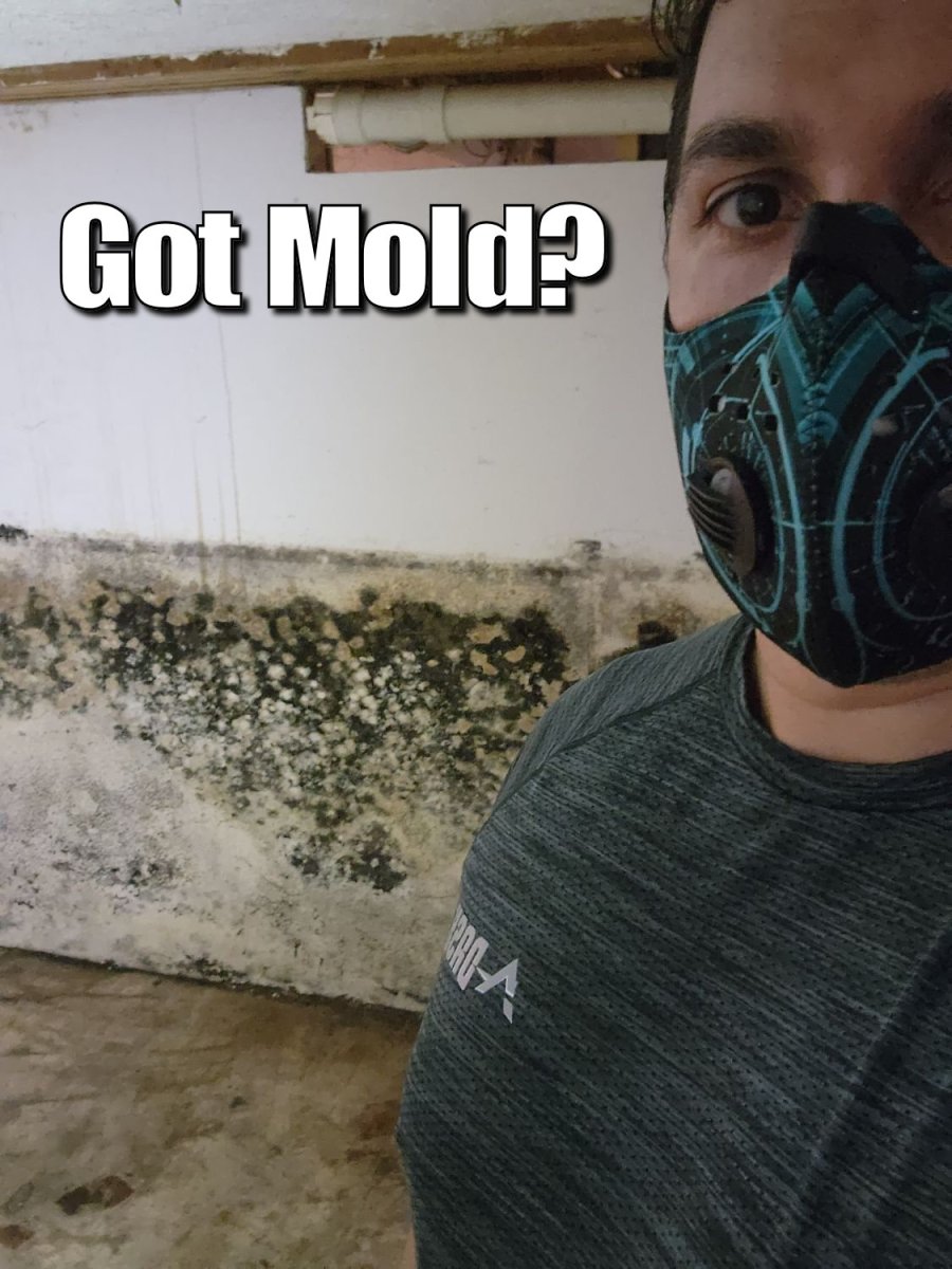 Mold, Adult, Man, Person. Text: Got Mold?