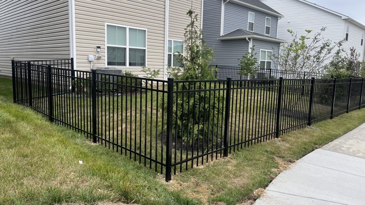 Nature, Outdoors, Yard, Backyard.